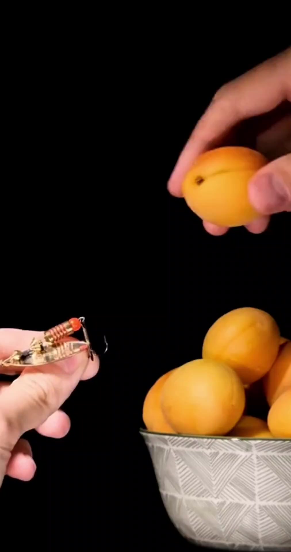 @Macro Zoom