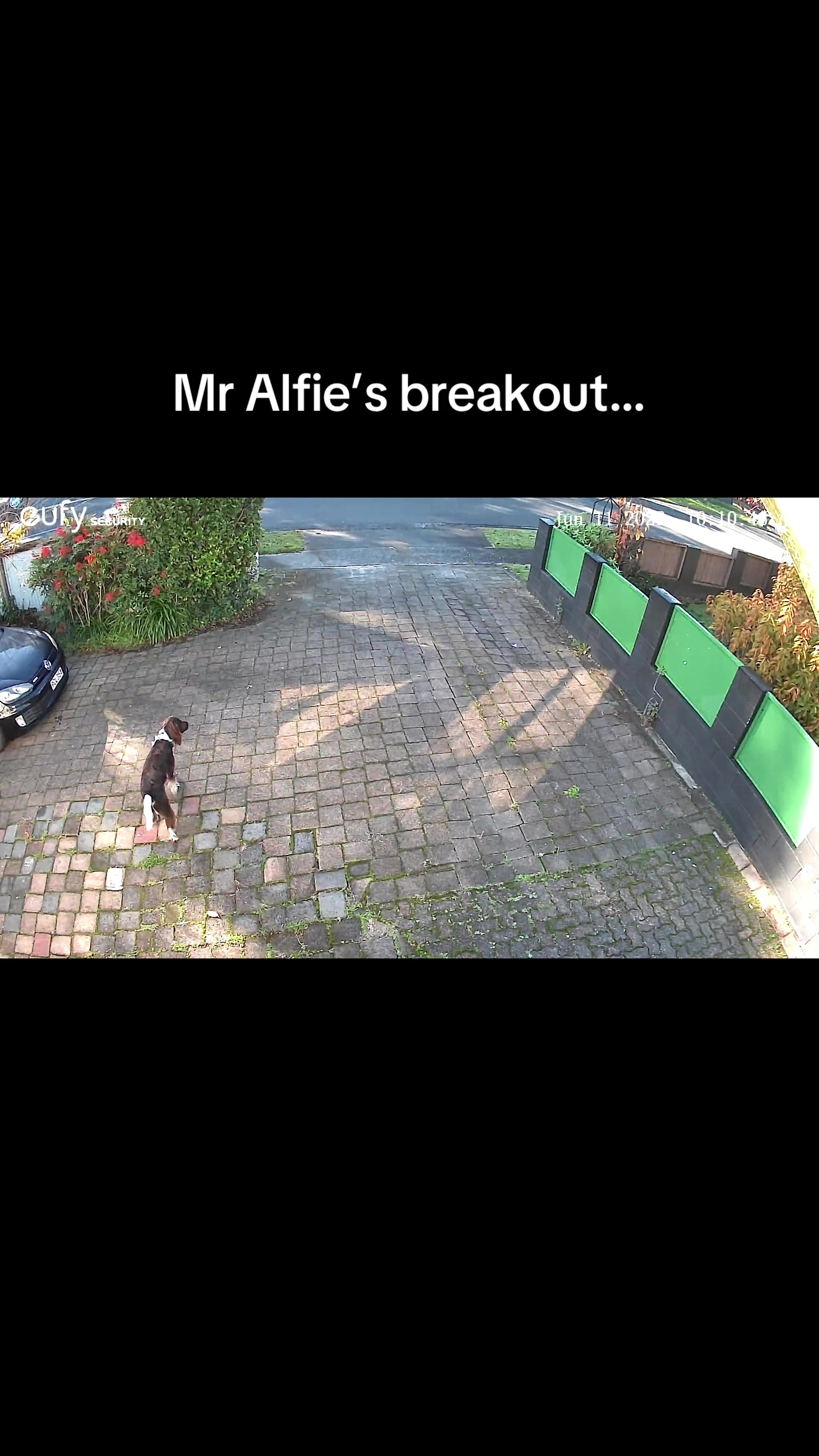 @Kim & Alfie’s world