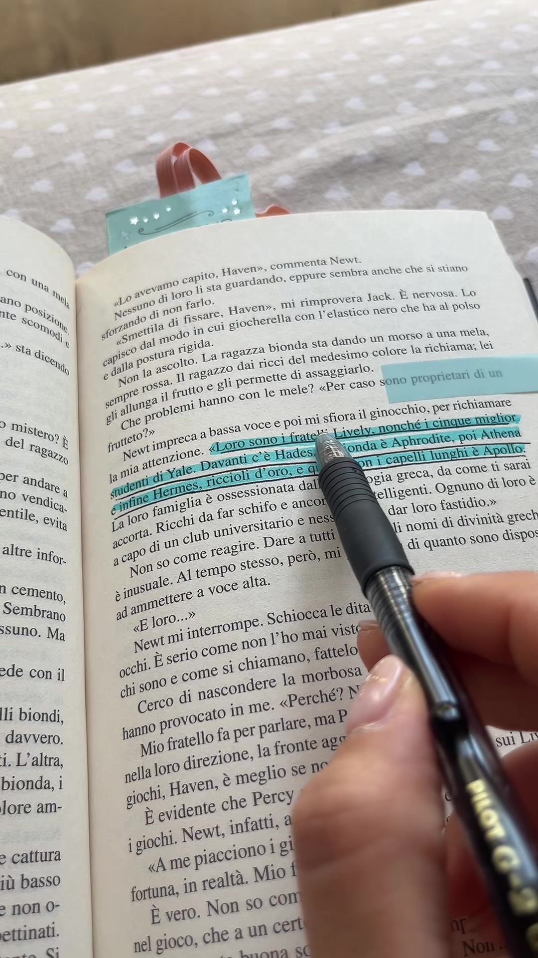 @Camibooks 📚💓