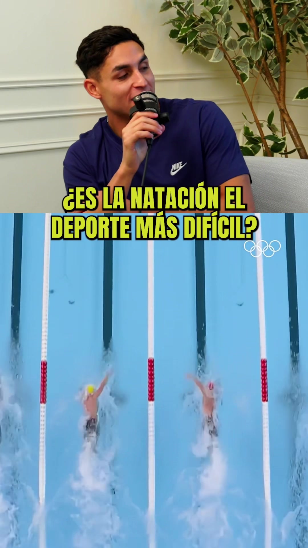 @dltsports