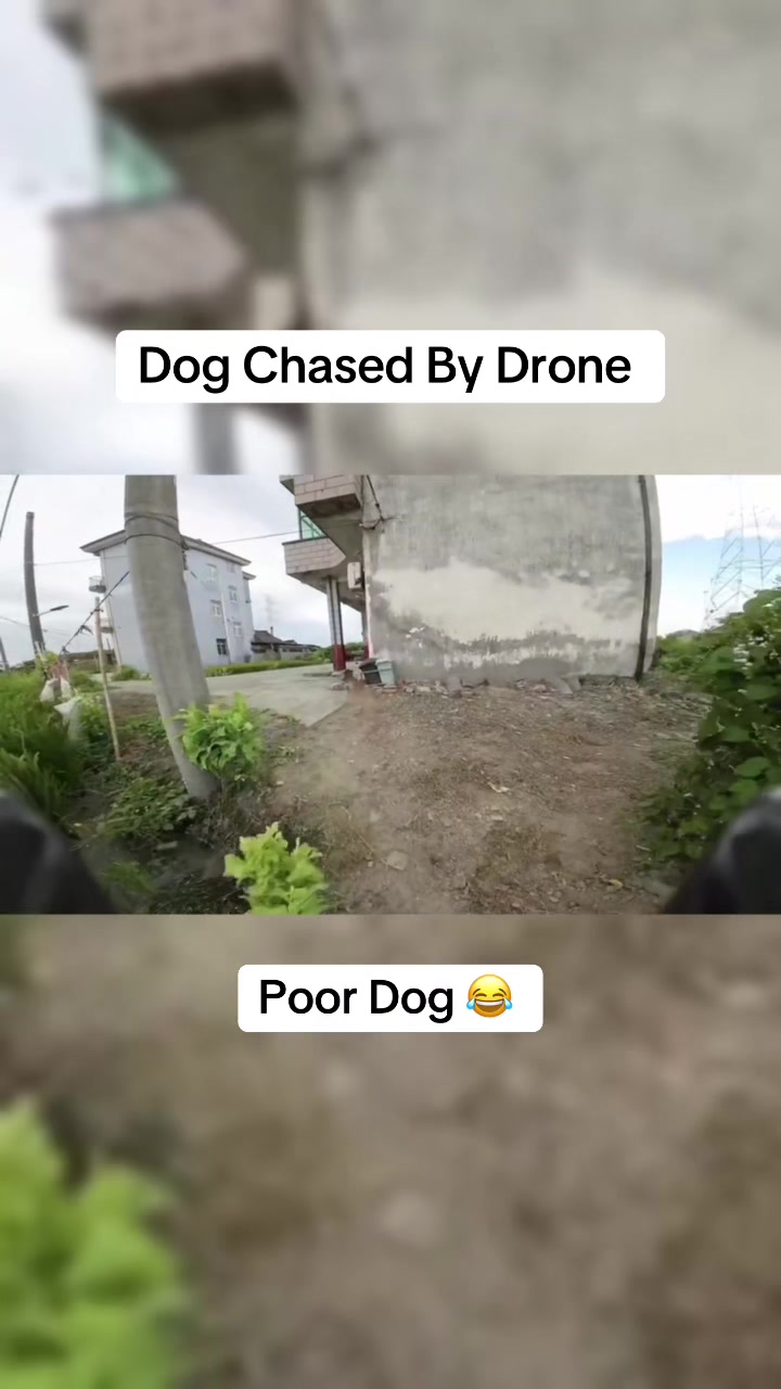 @drscamtv
