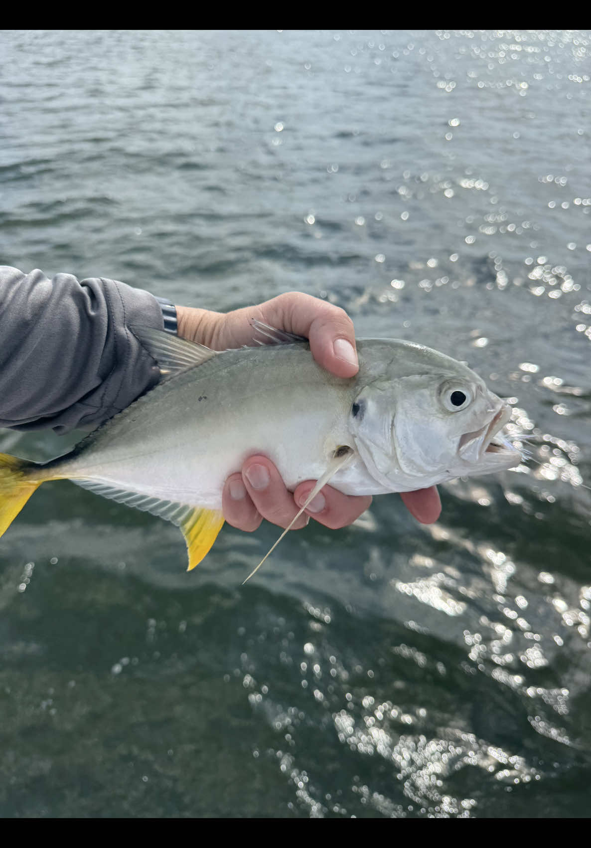 @FlyFishDelawhere