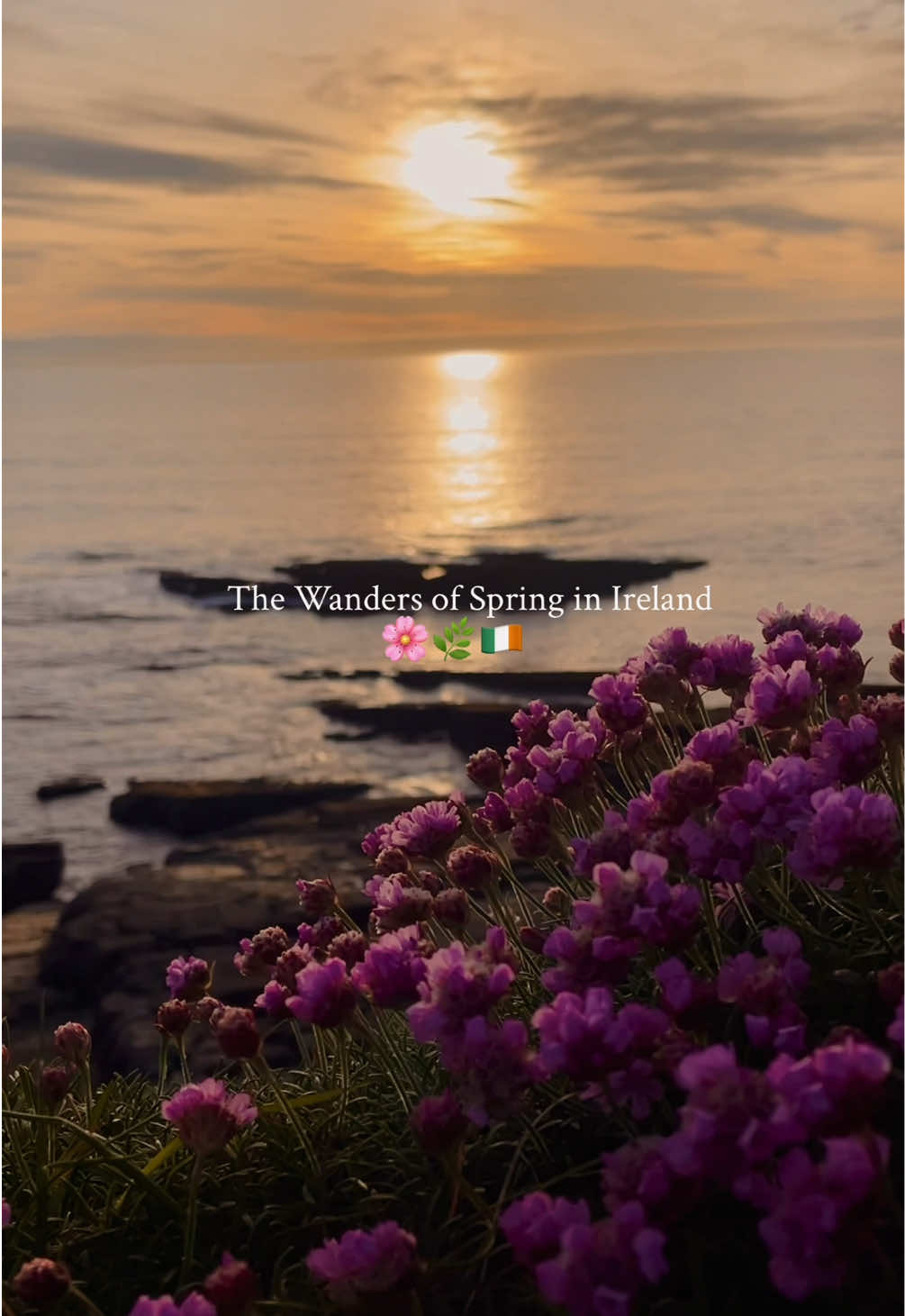 @Daiva | Travels