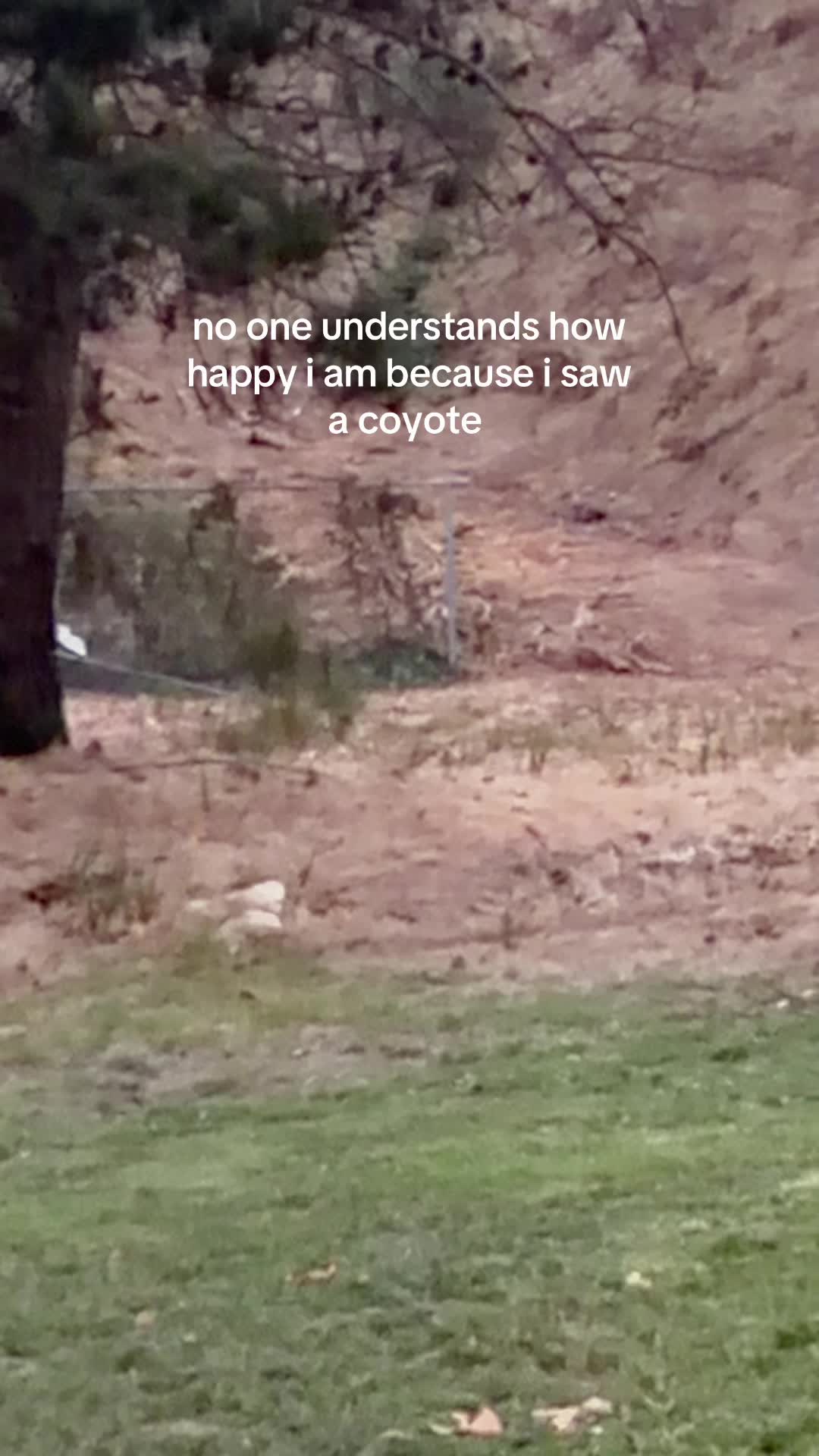 @Laylee Zaara