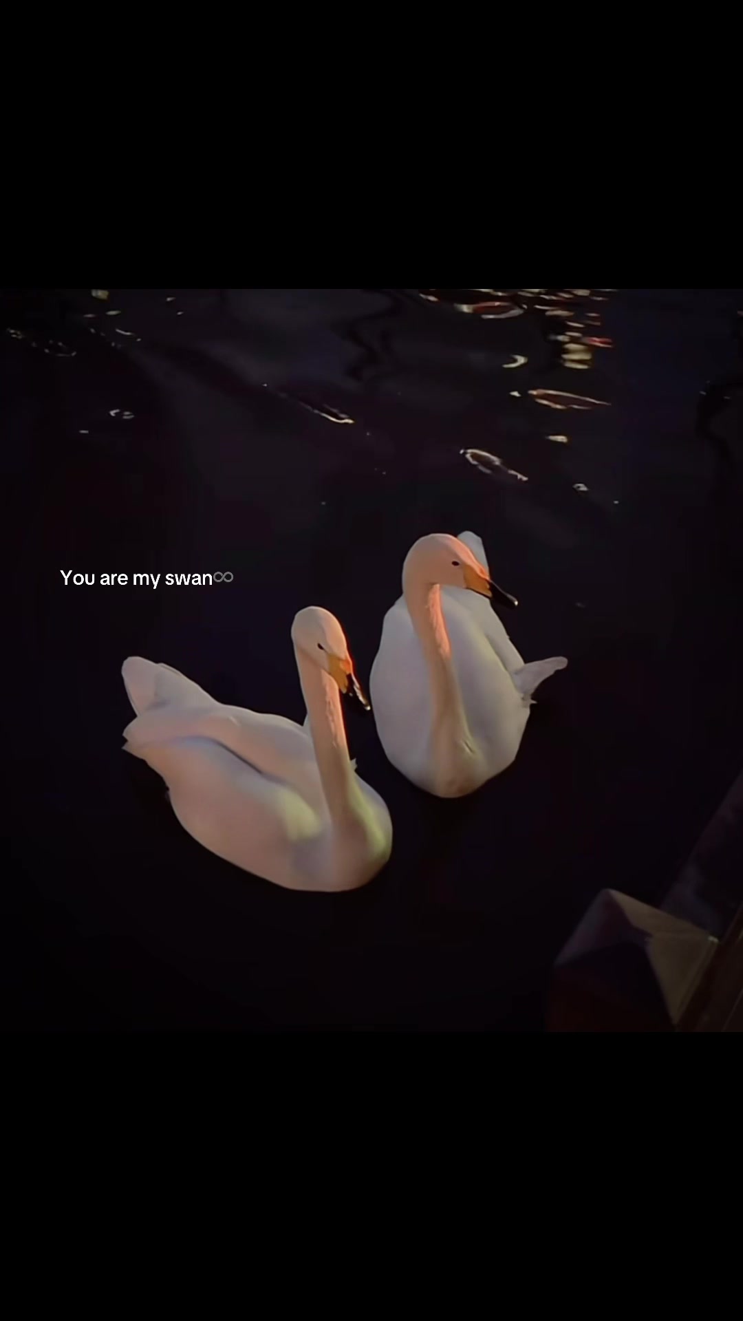 @𝔩Ⓨ𝐑𝔦cⓈ