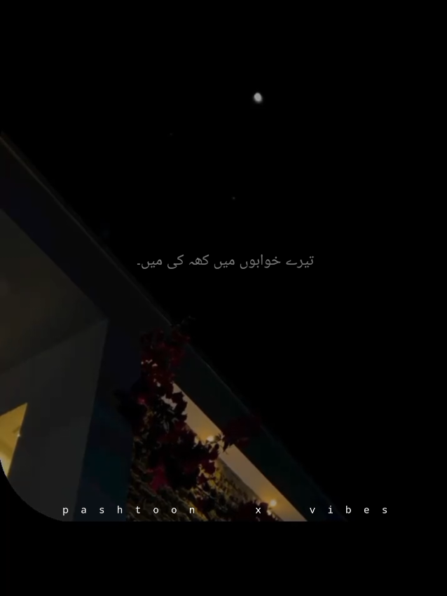 @pashtoon vibes