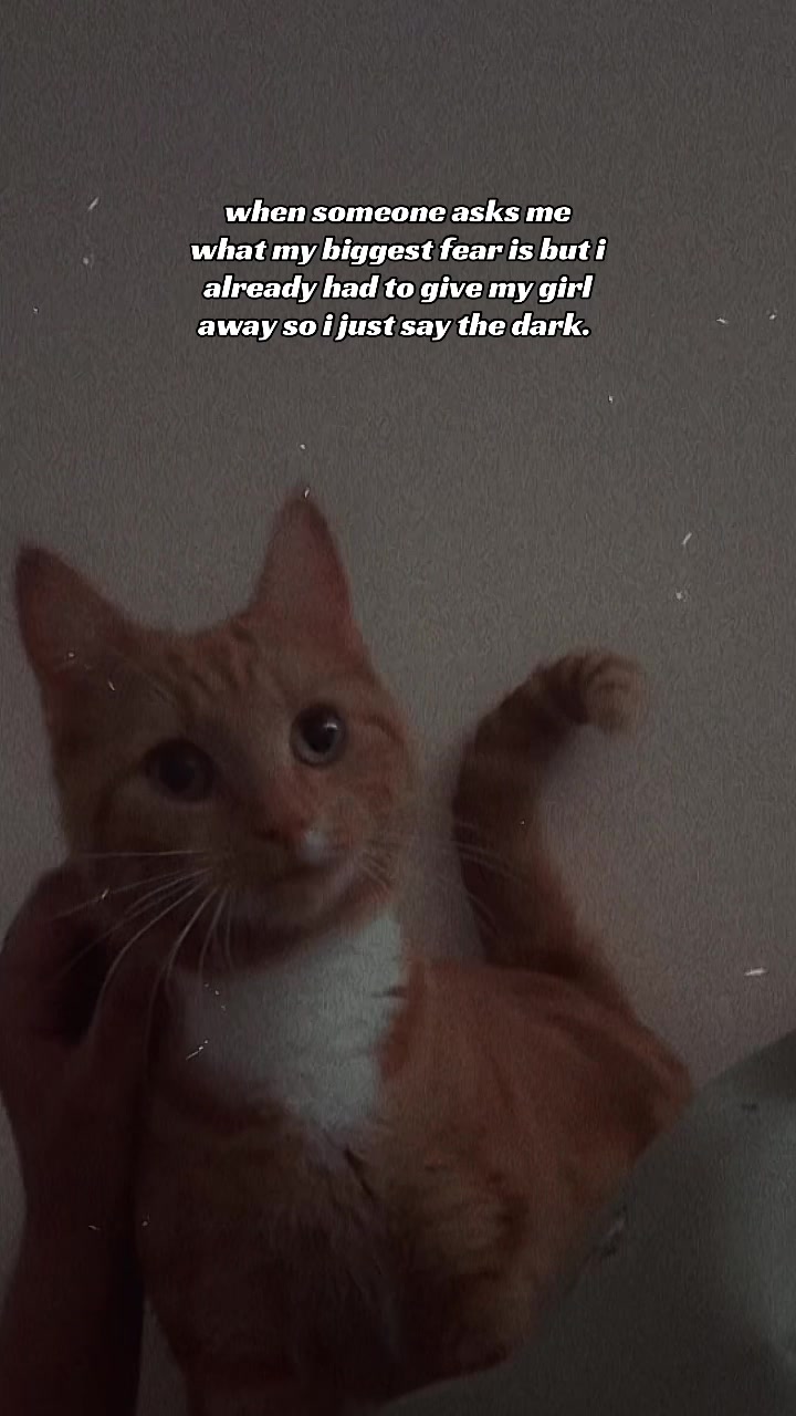 @yusrah.ox