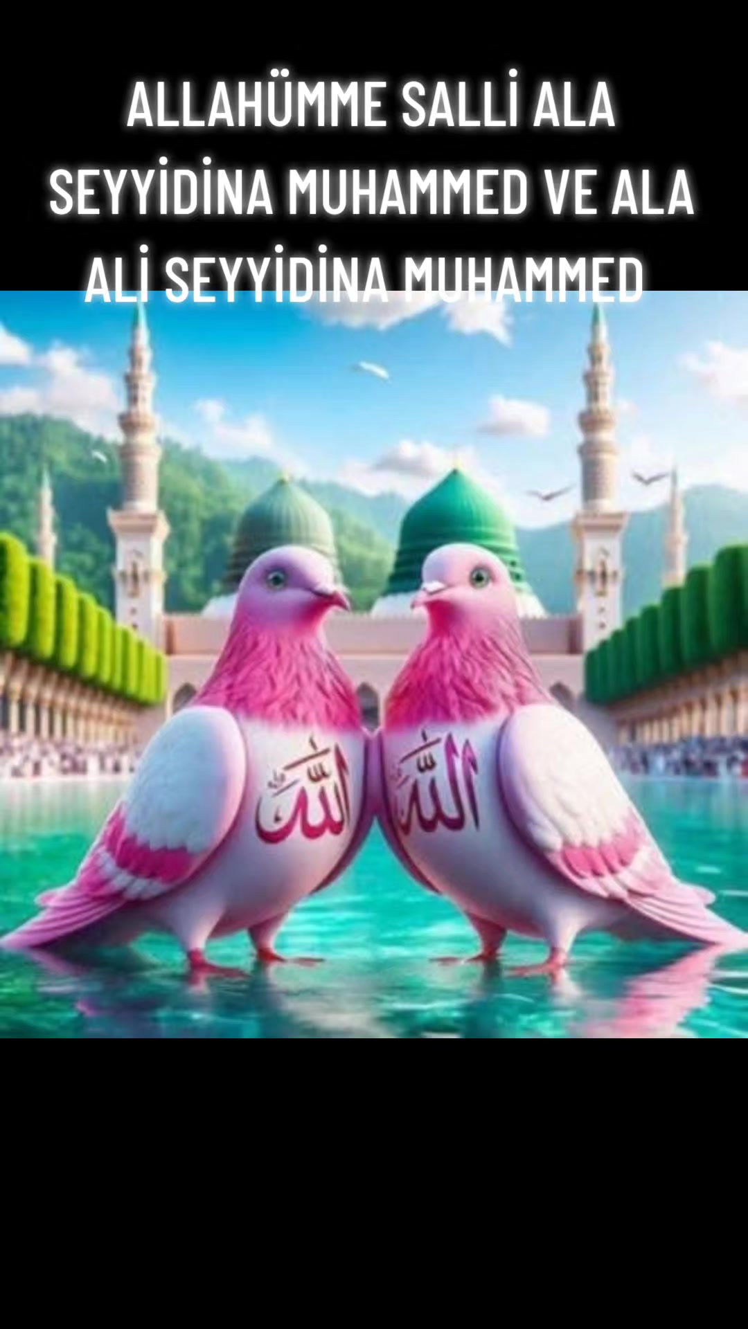 @💚NAKŞİ💜AİLESİ💚EBAG&Uuml;L❤️