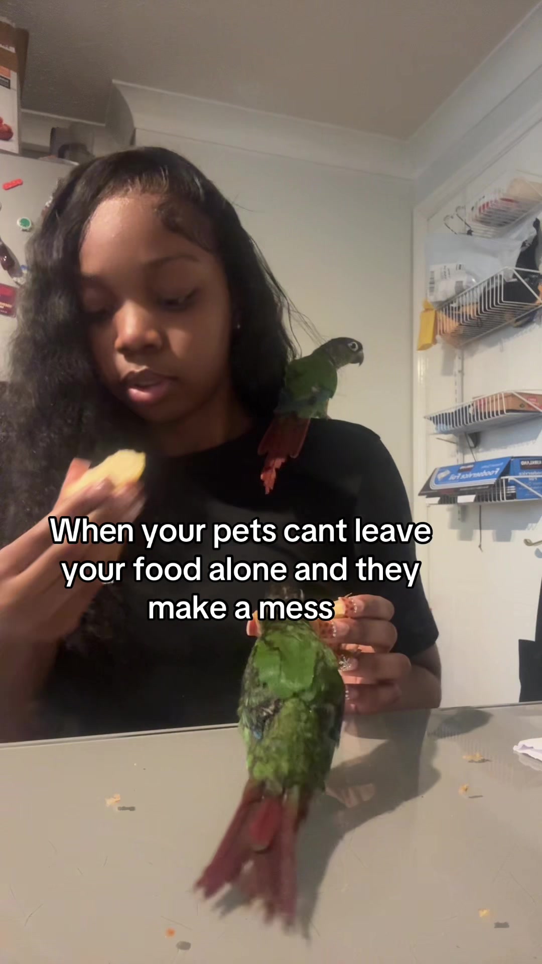 @rendeezy