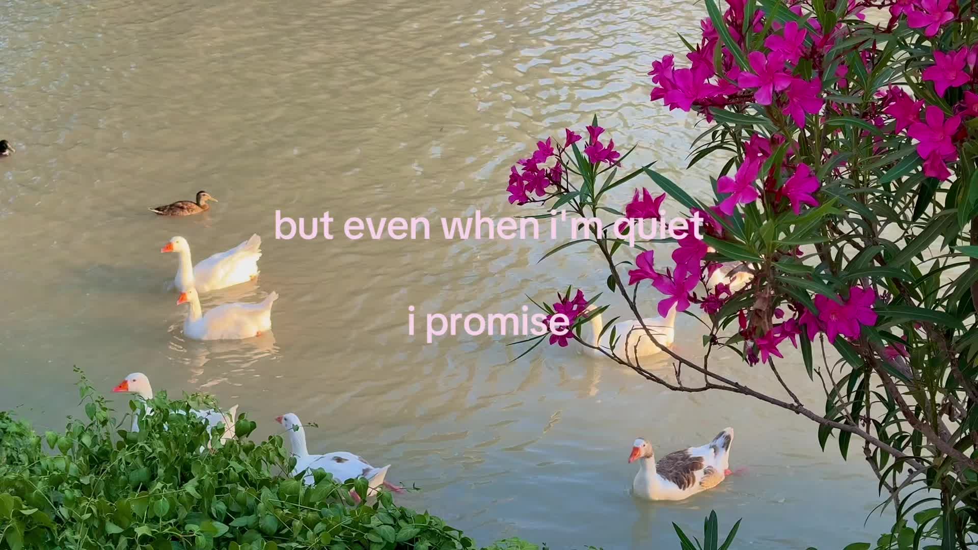 @andrea 🪩