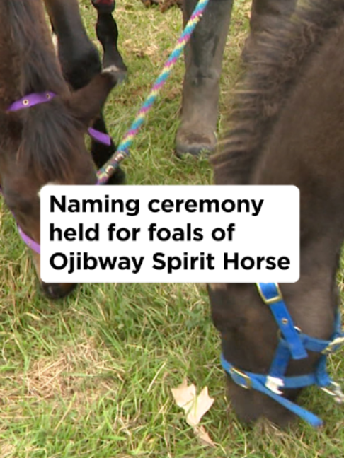 @APTN News