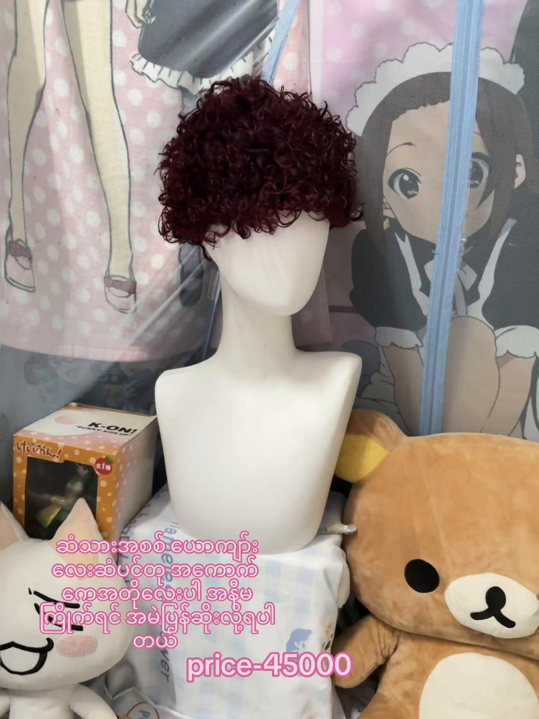 @Kiku Hair Wig