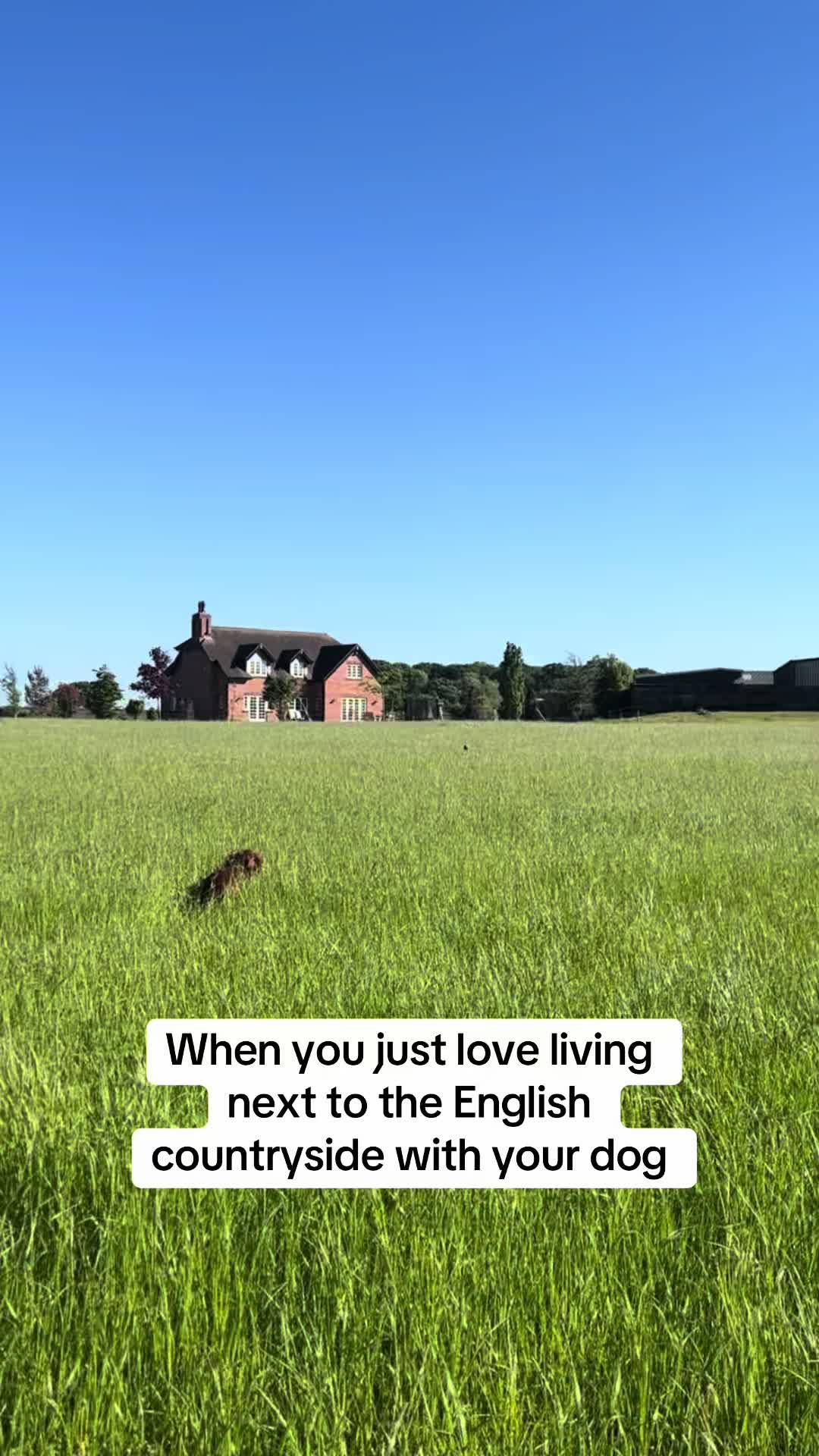 @Sunny