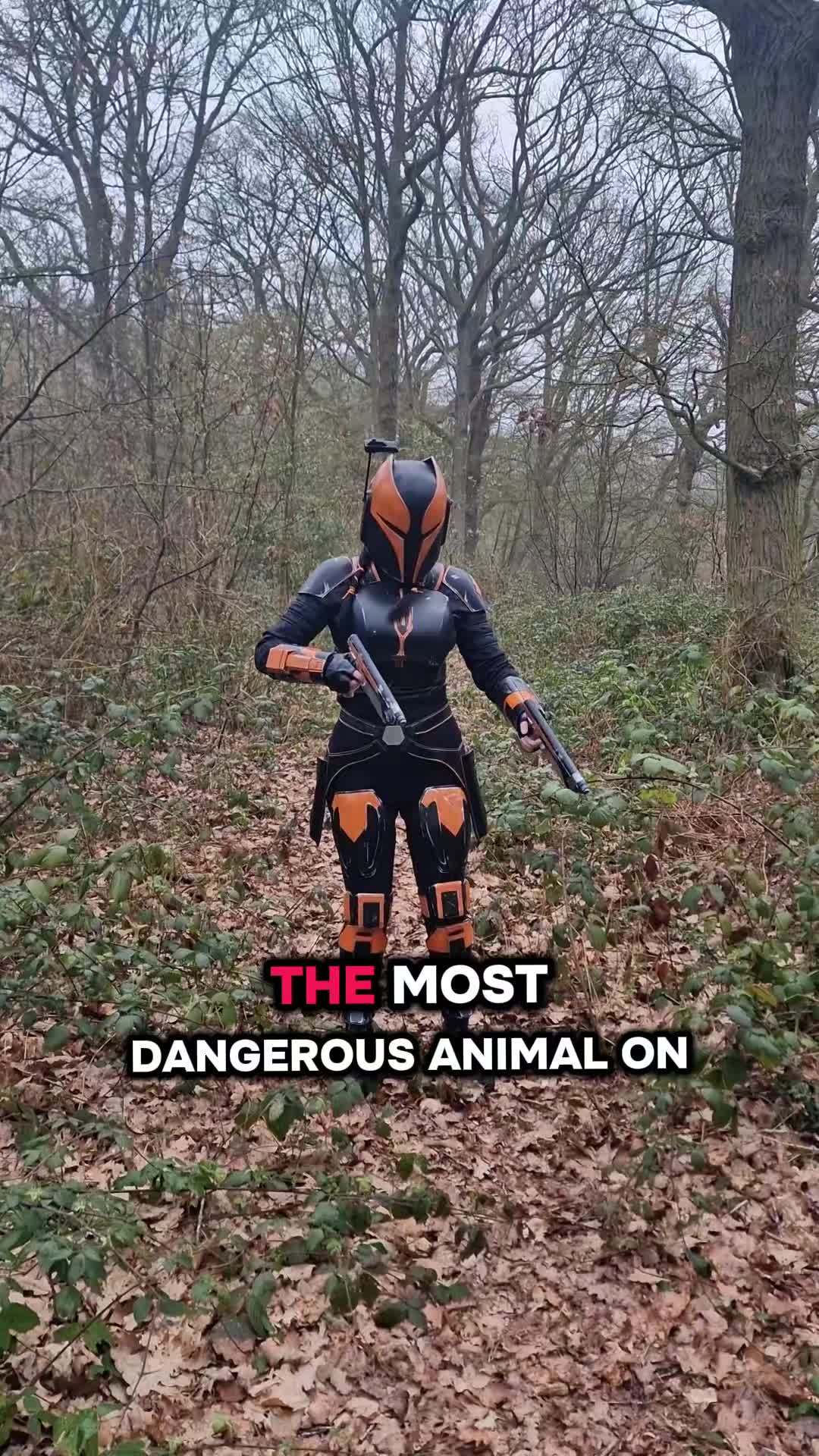 @Sith Fox