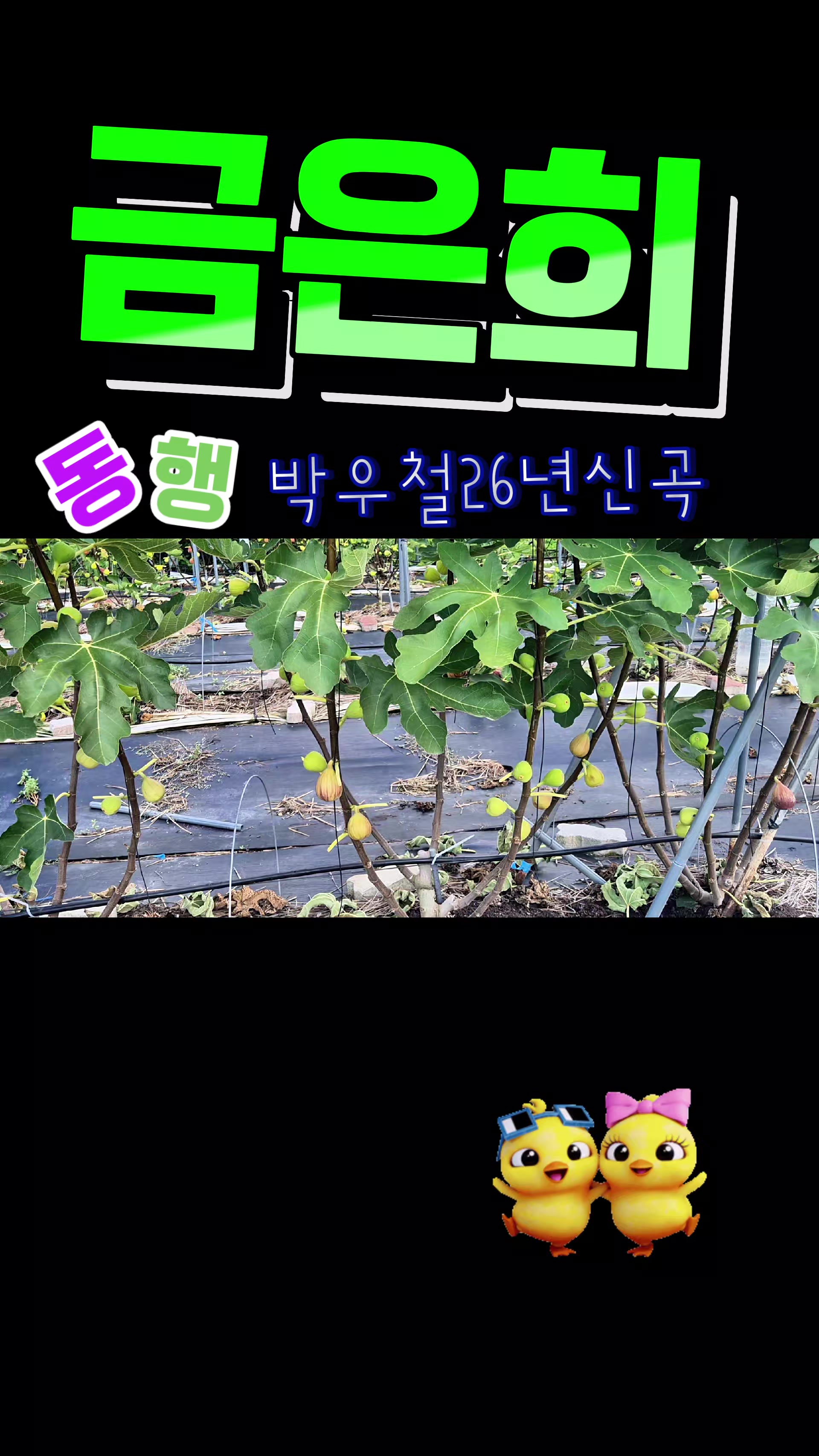 @금은희