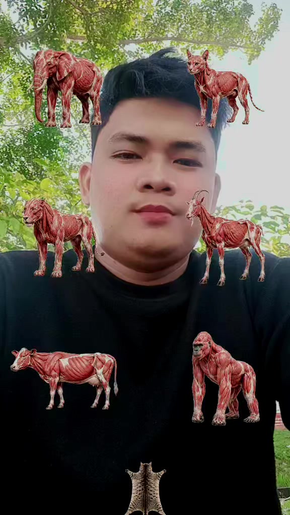 @Hendro Sinambela