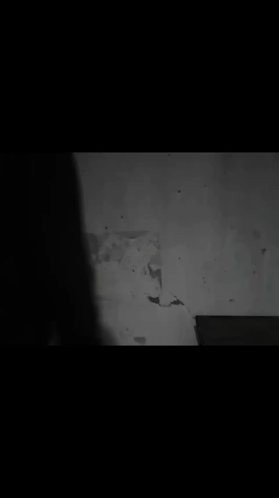 @ZynoxStrike