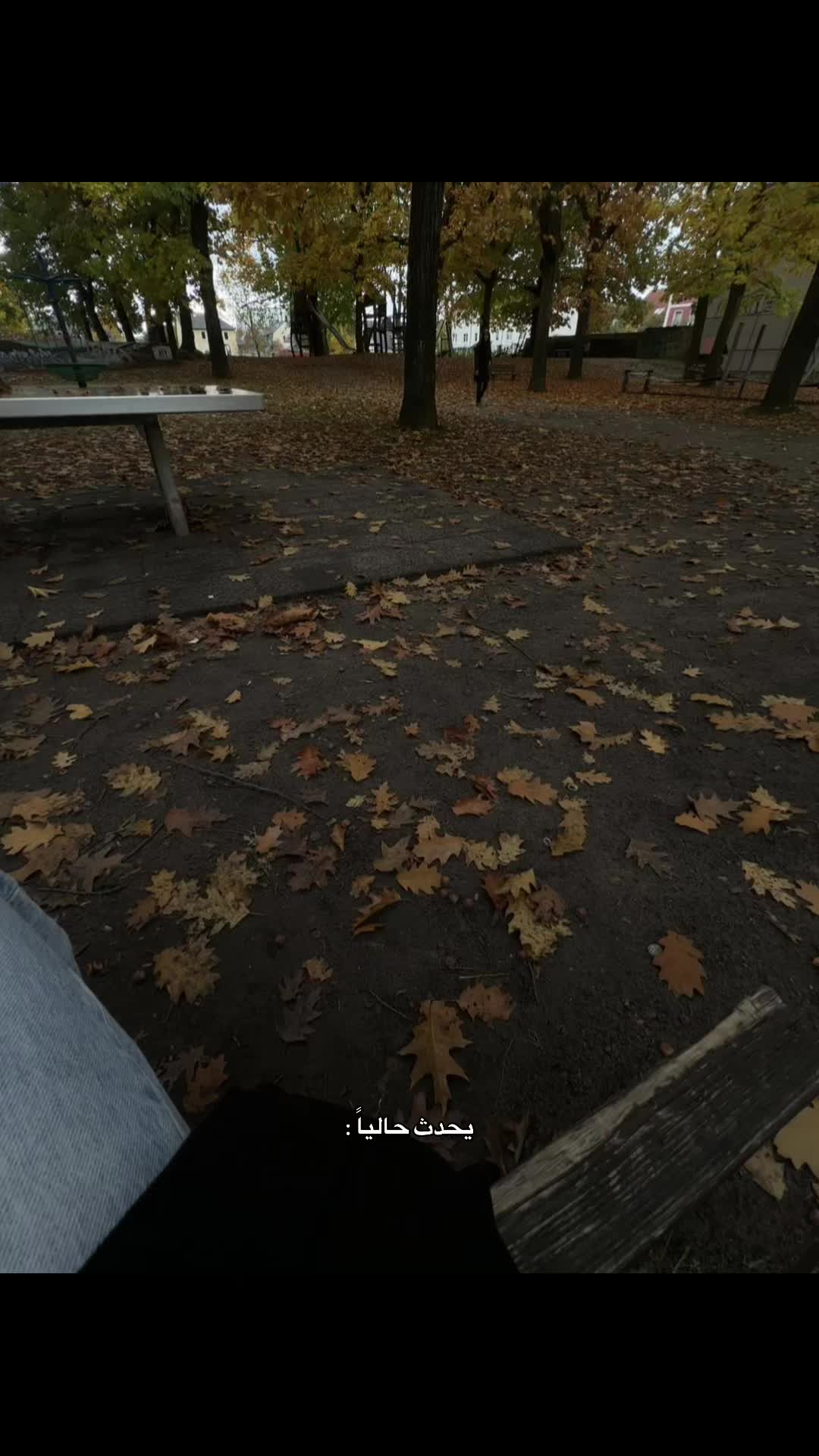 @﮼كوبرا🐍