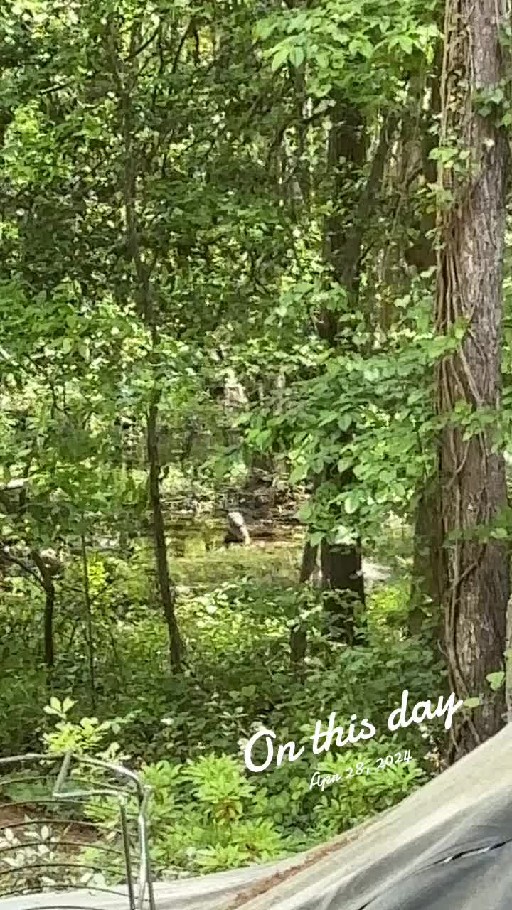 @Jennwith2n&rsquo;s