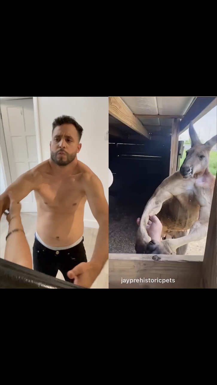 @Anwar Jibawi
