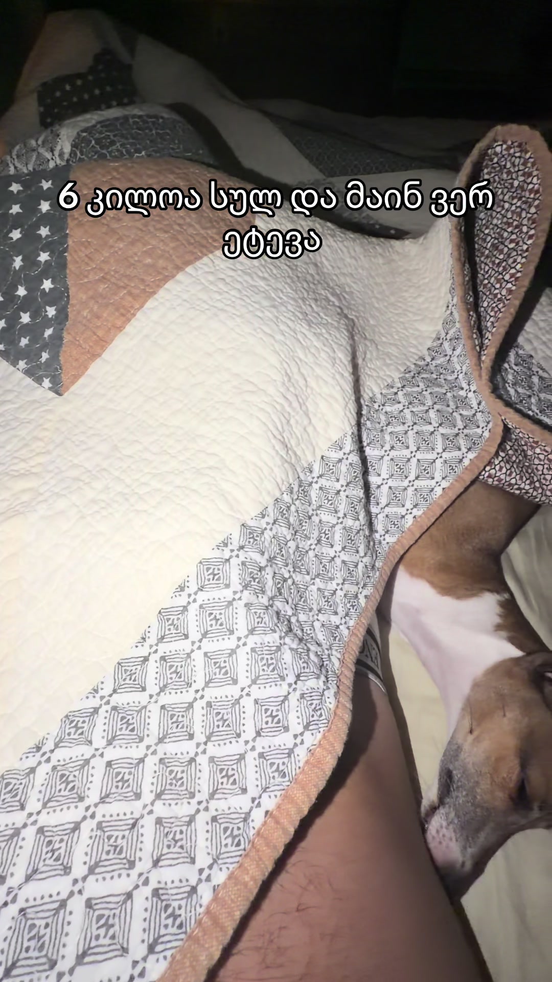 @LillyNDad