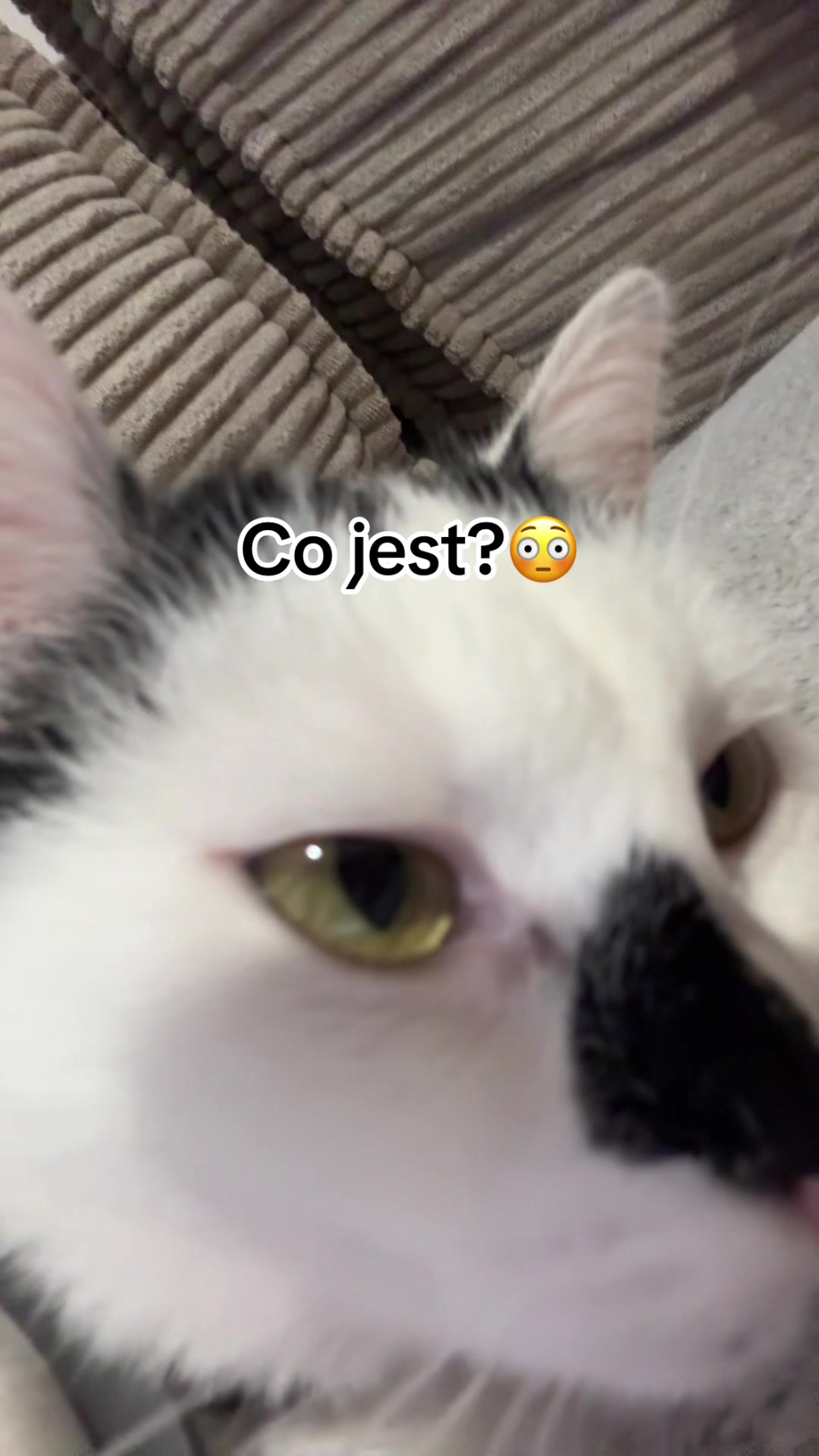 @bartmi