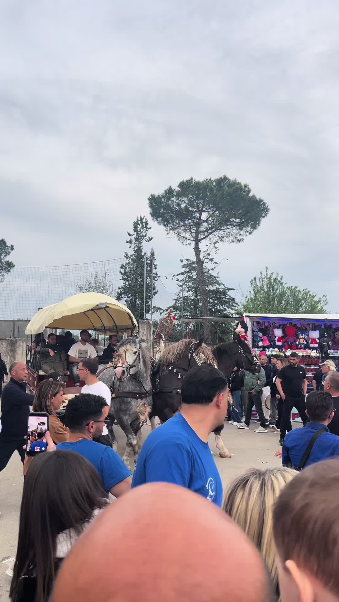 @roccodausilio