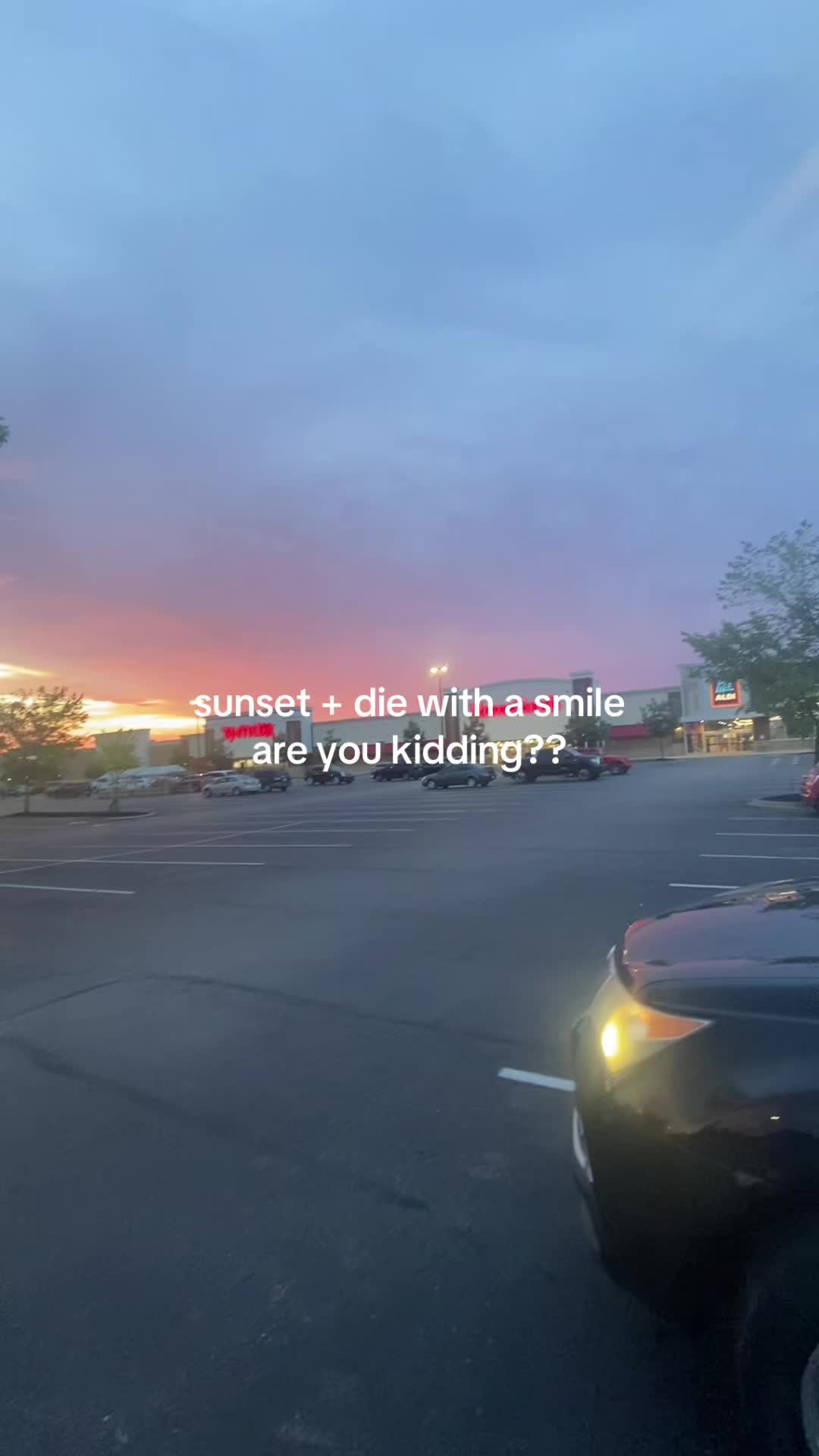 @ellie