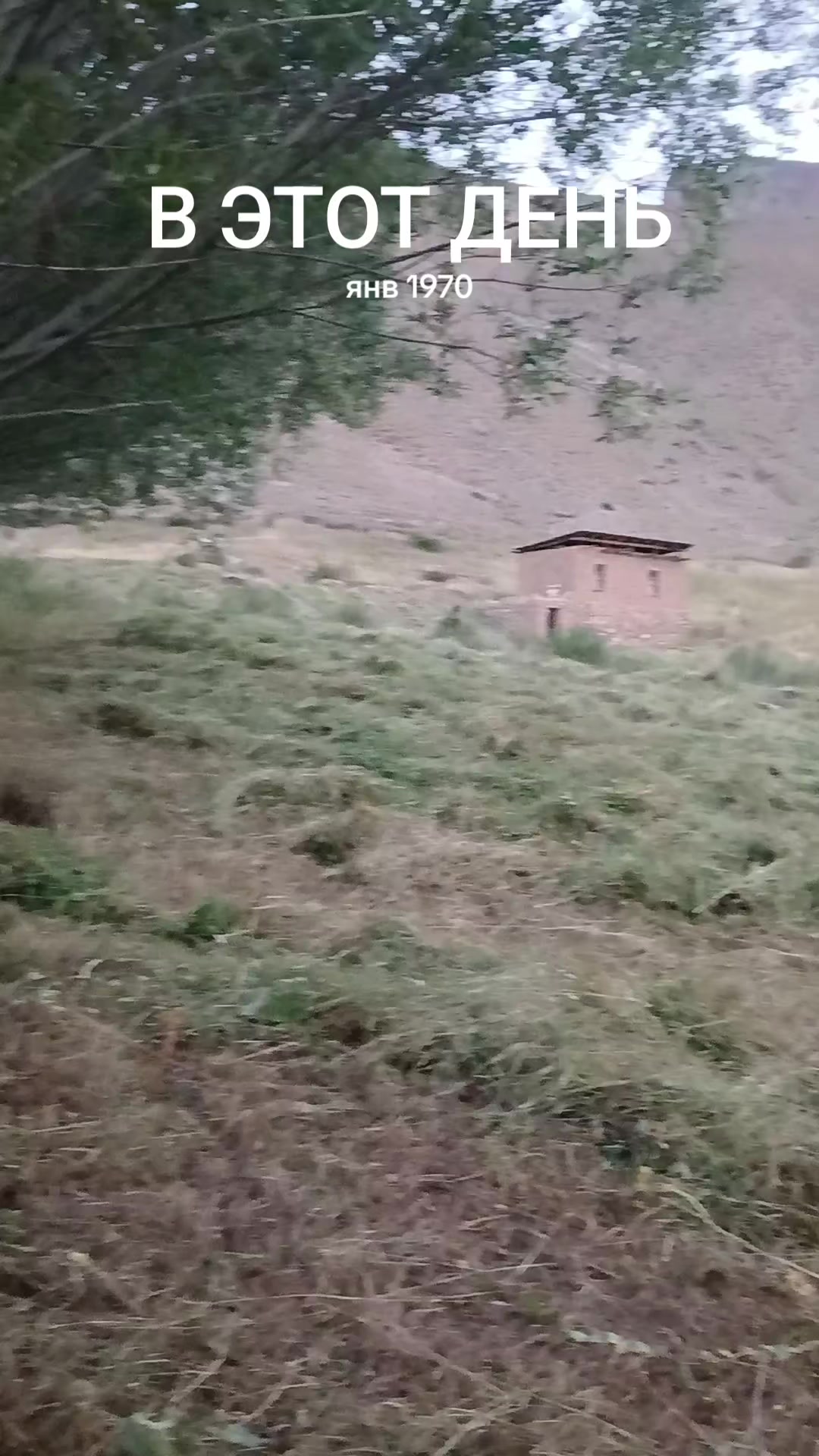 @медведь