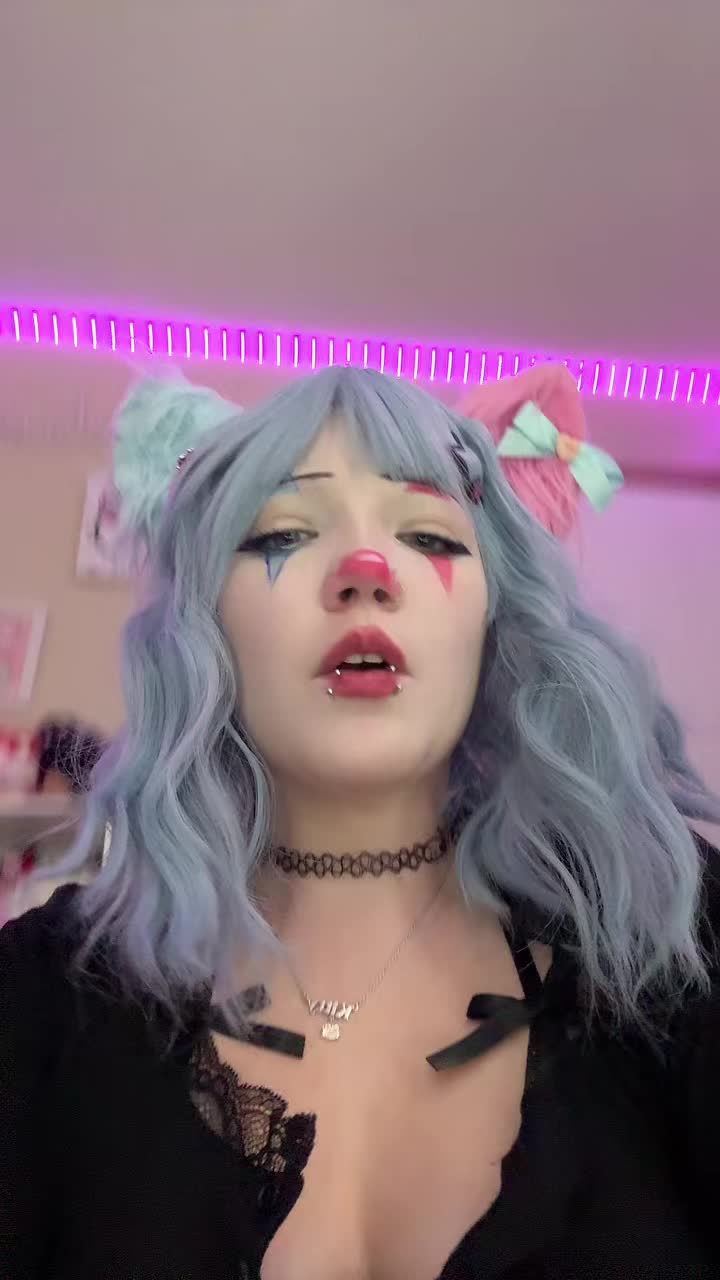 @kitty