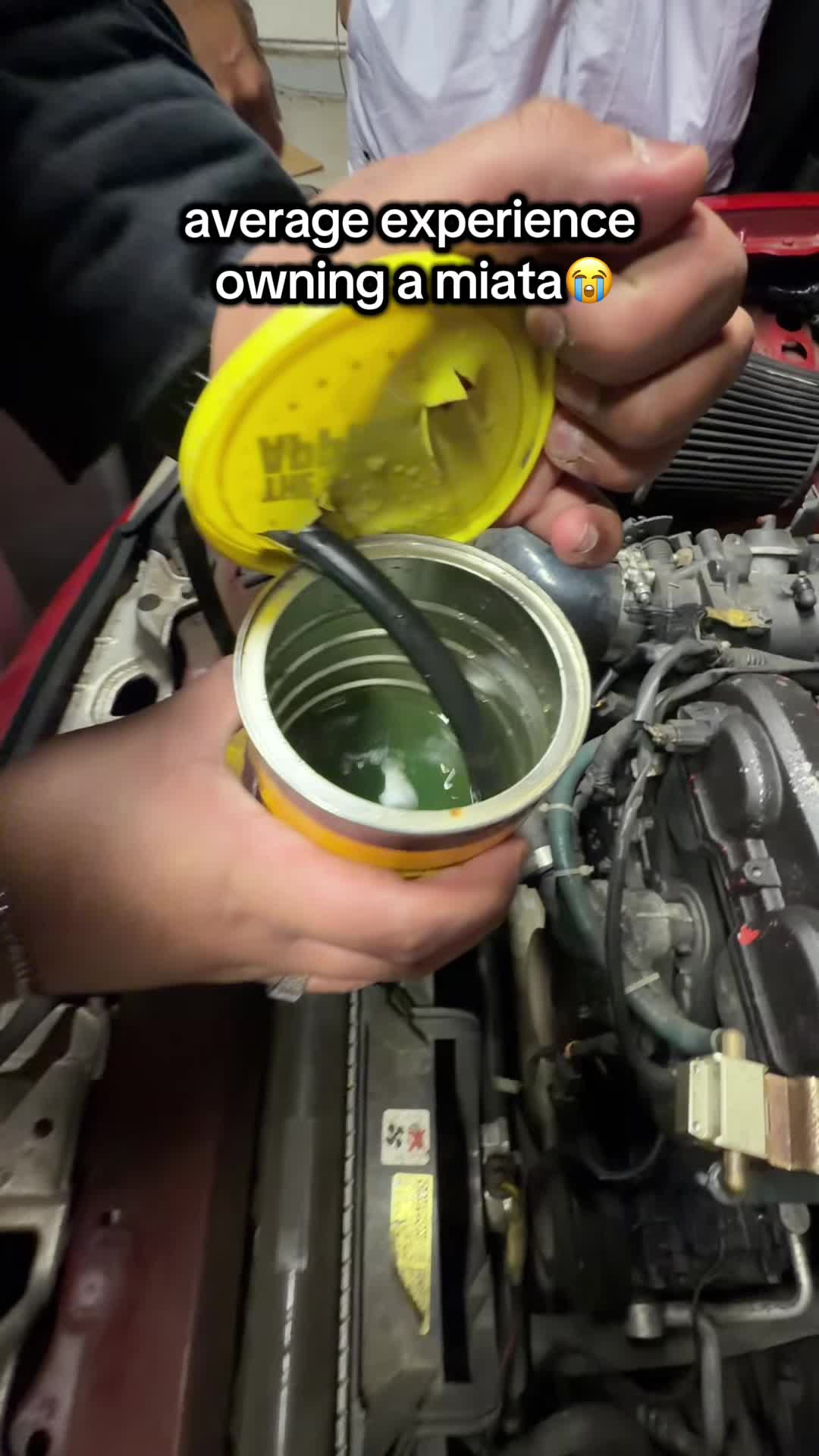 @oasis.garage