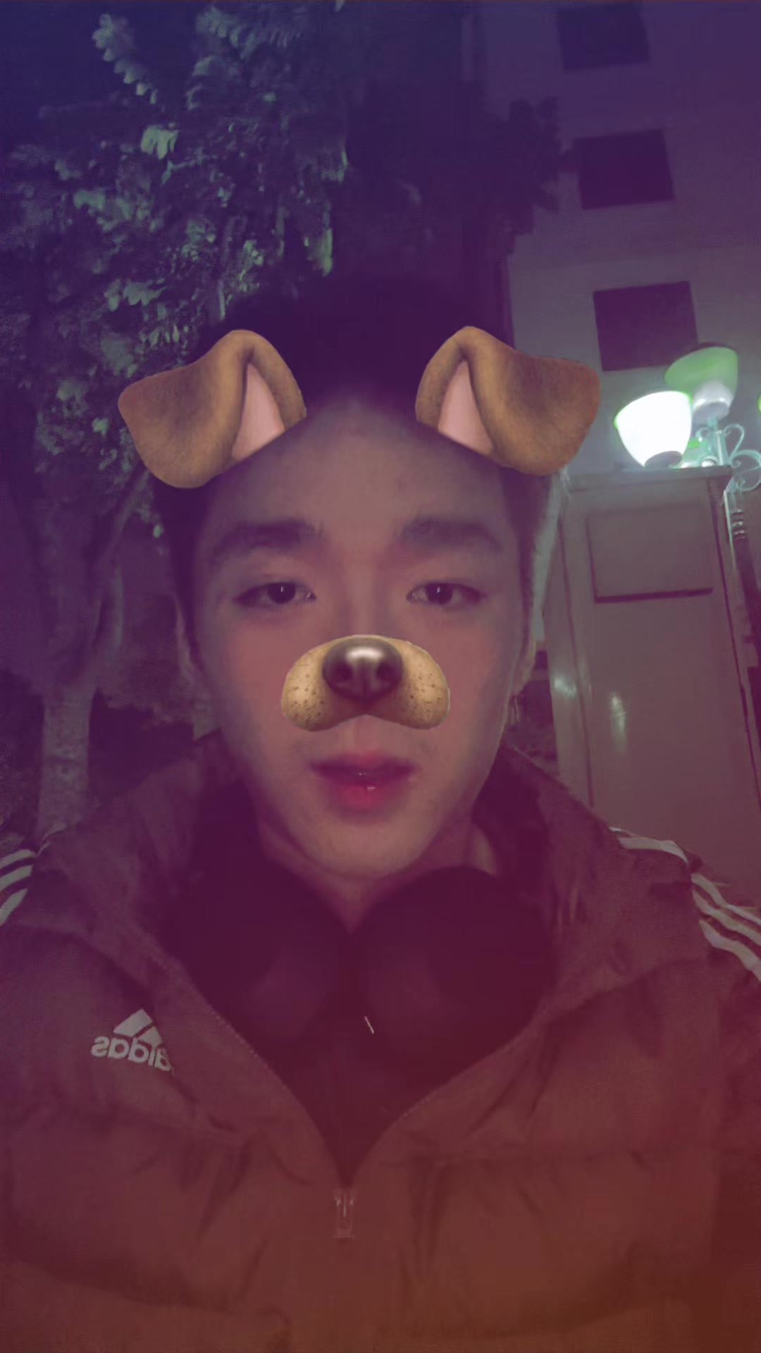 @chú rùa vàng