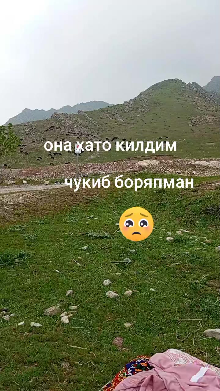 @Сабр