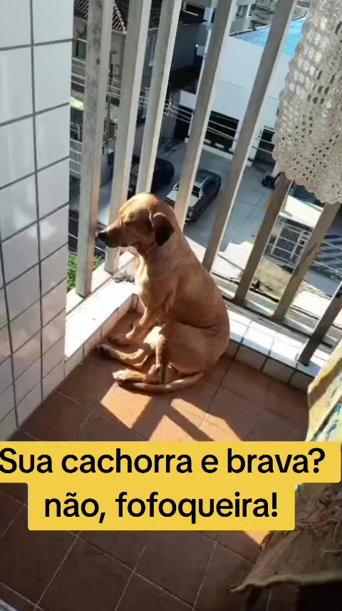 @Eduardo