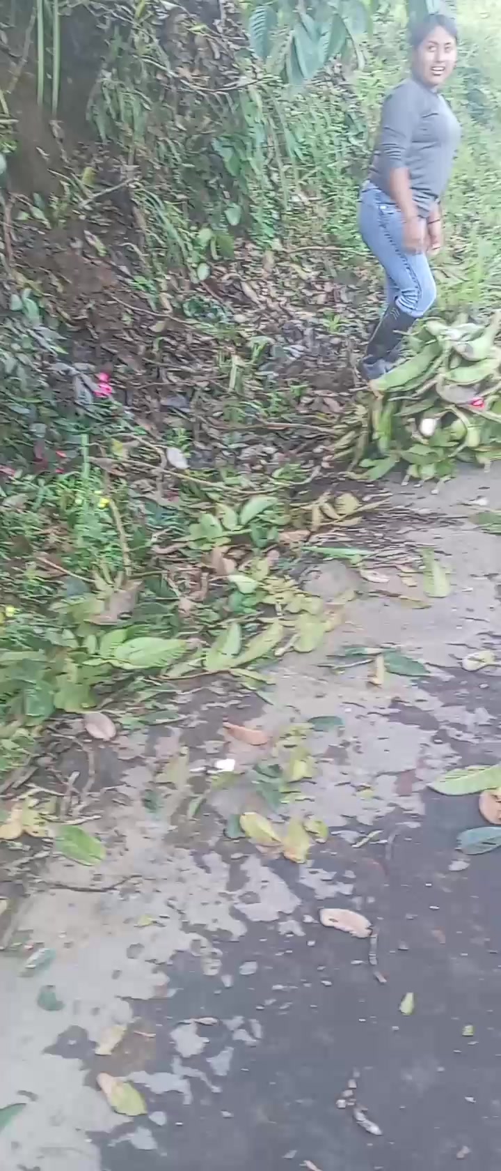 @Elsa Av