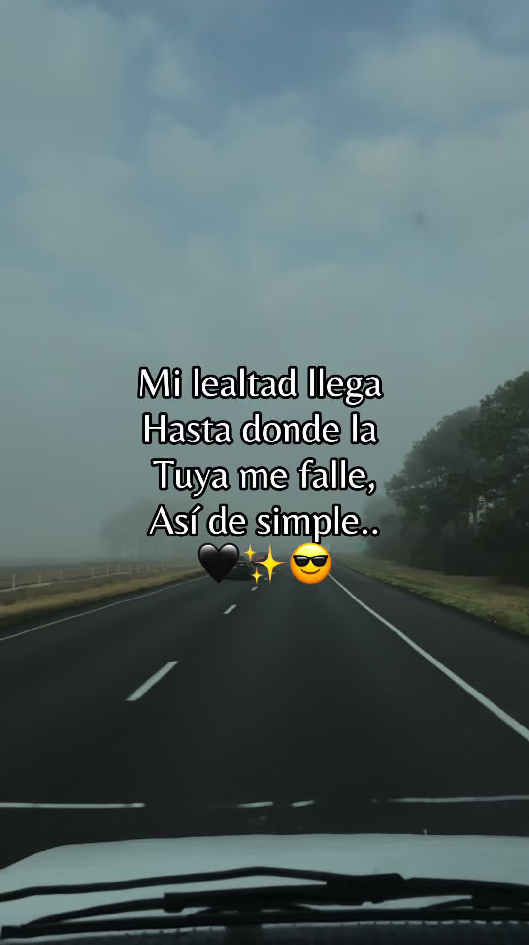 @marisolreyes1118