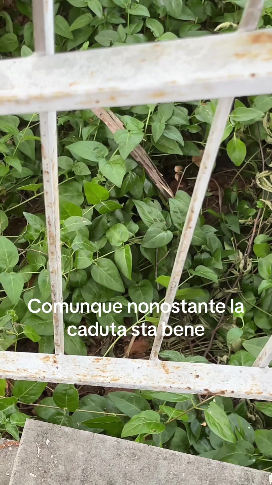 @Paolo Melappioni