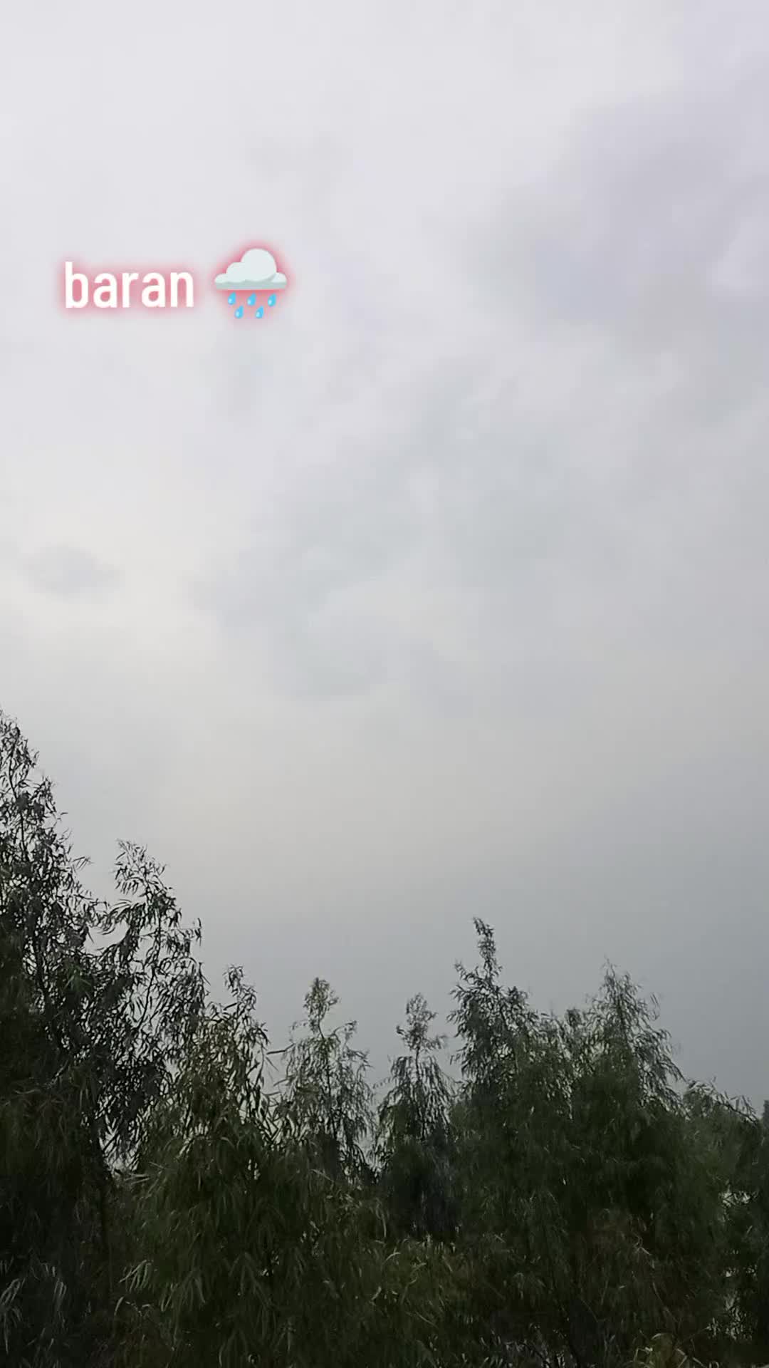 @Aisha🫶