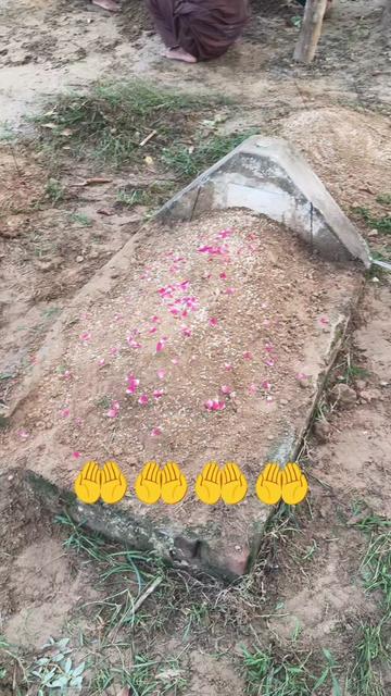 @bigboss02025