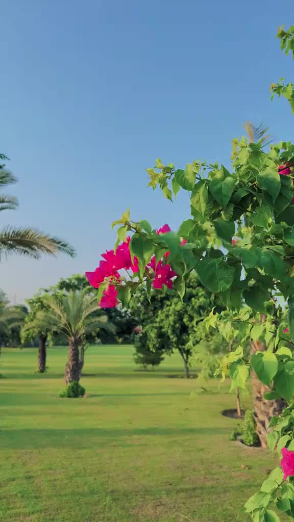 @AحMAD