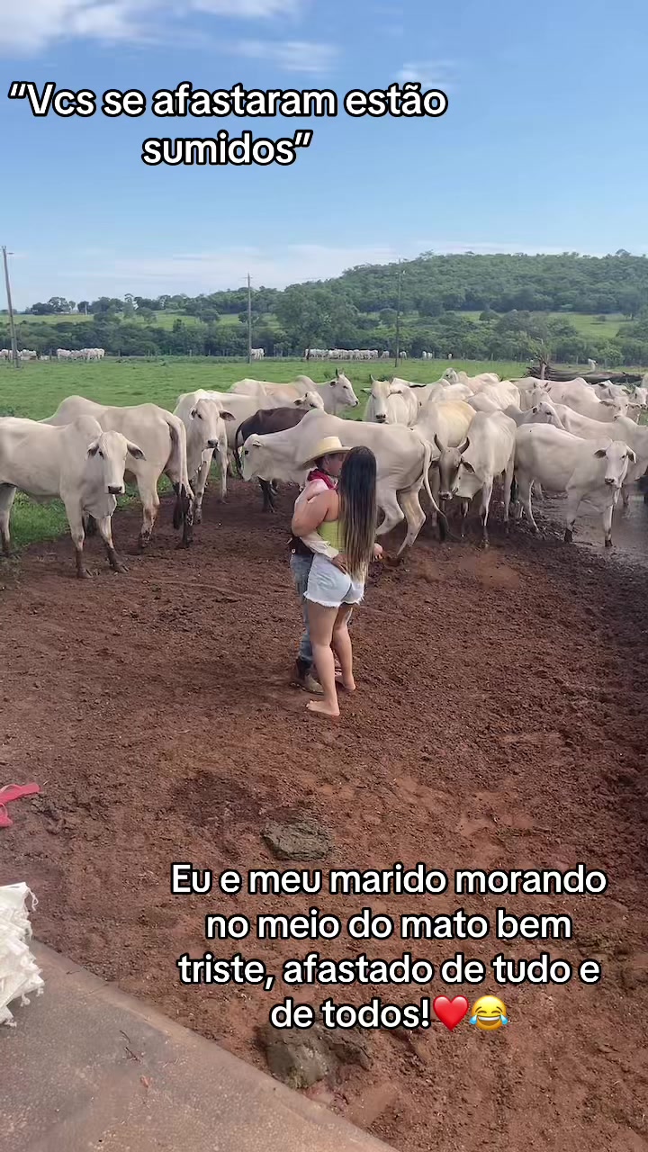 @pamela dias