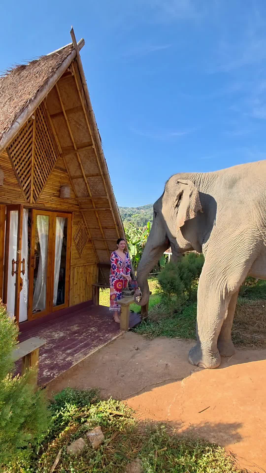 @Minnie Travels