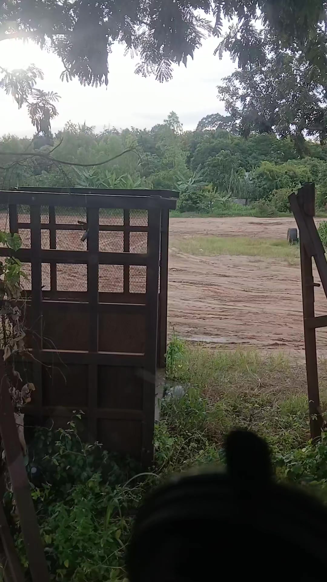 @นิวตั้น