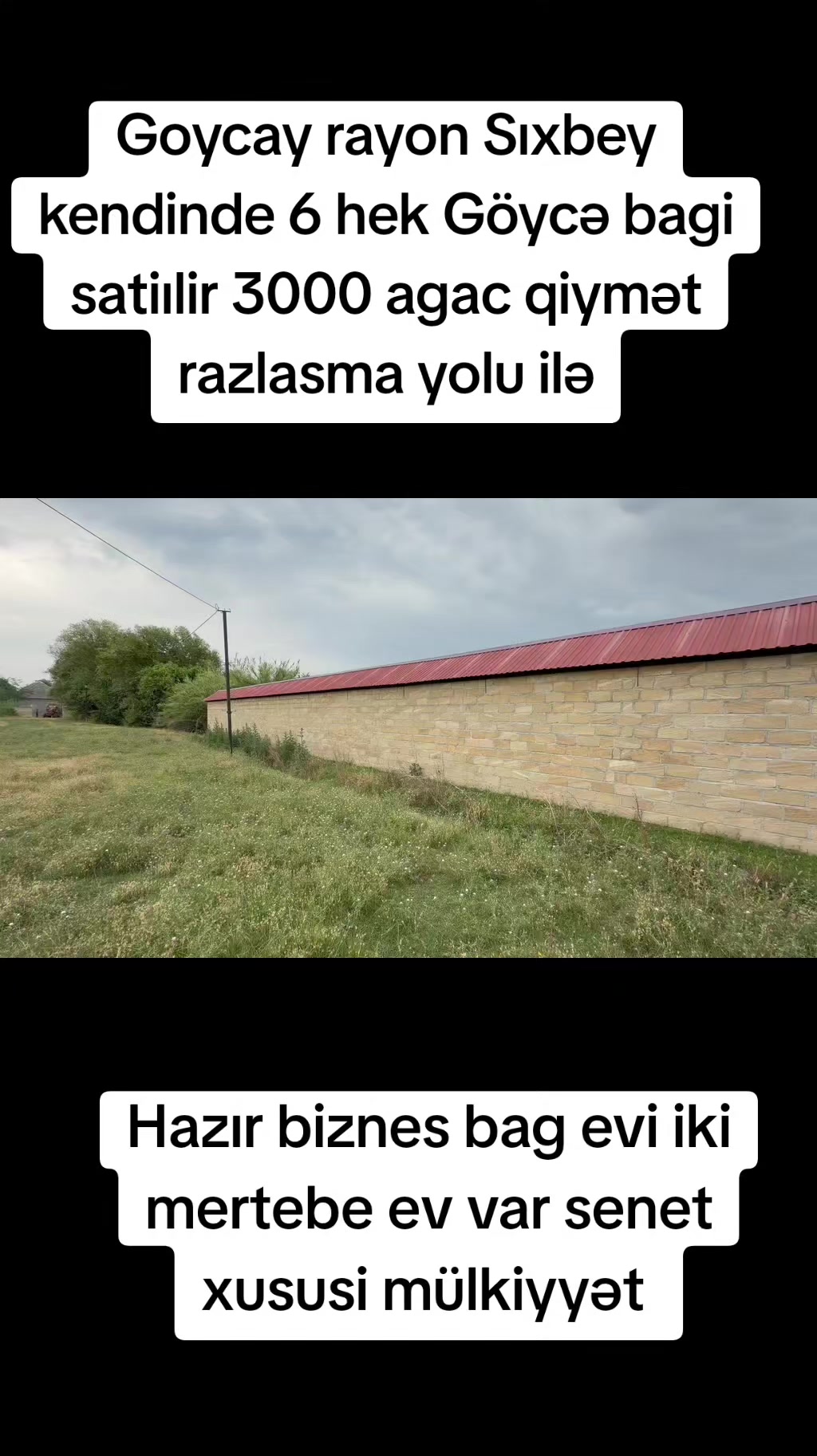 @Kenan_makler_elan_xeber
