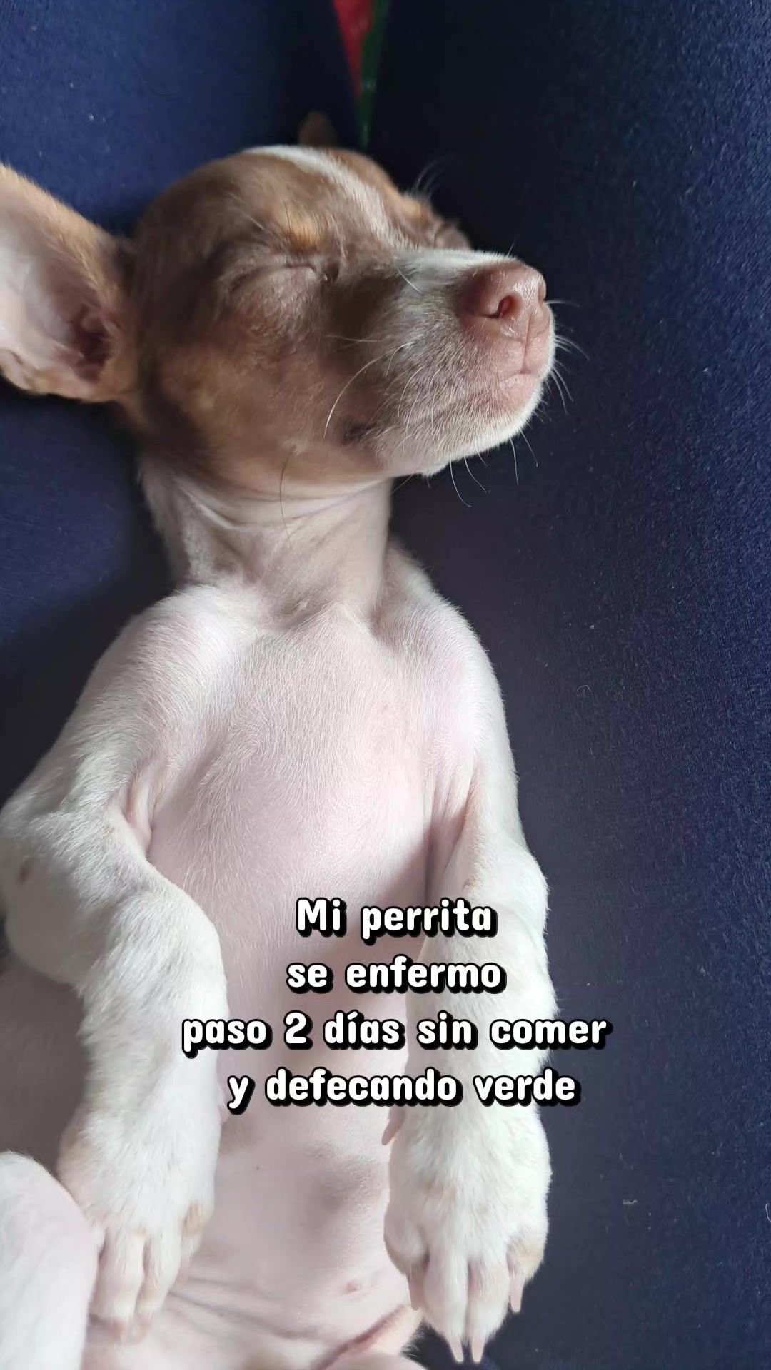 @Diana Rivas