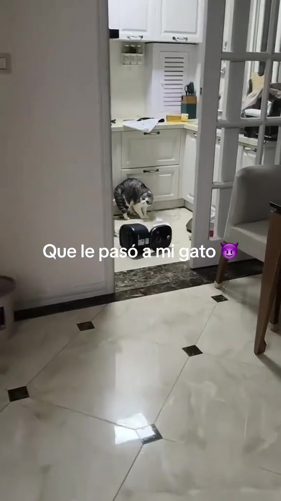 @Cuentos de Terror