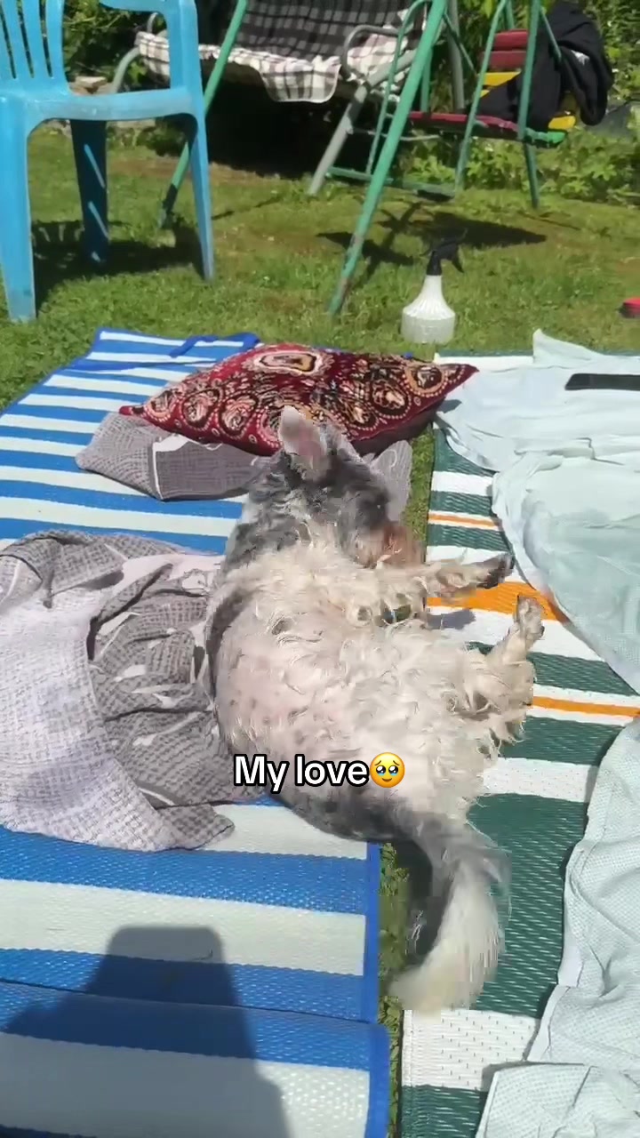 @Itis_Pu🧃