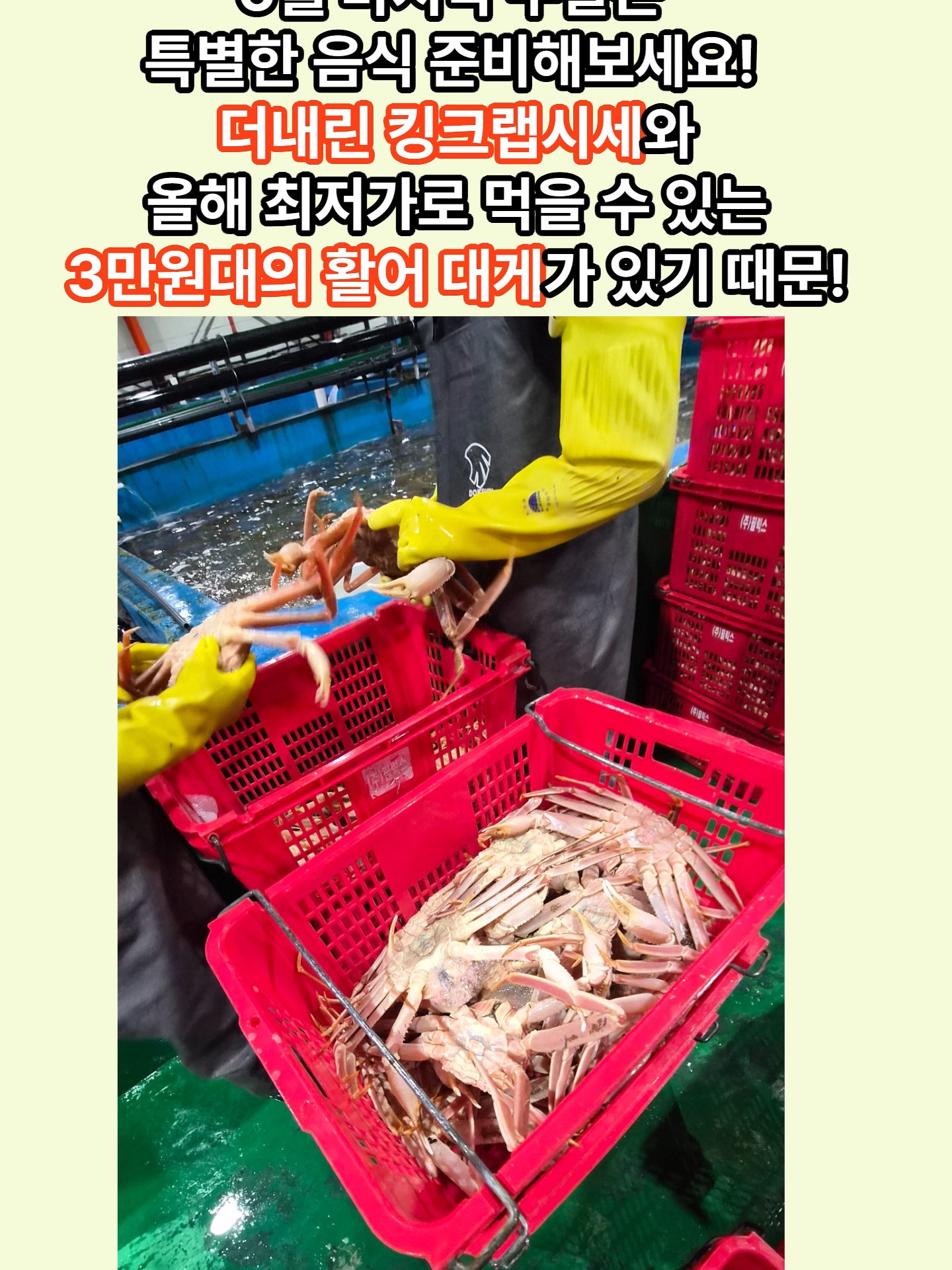 @킹크랩 대게 동해수산유통