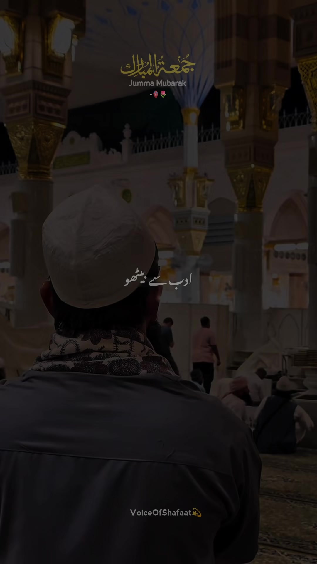 @VoiceOfShafaat💫