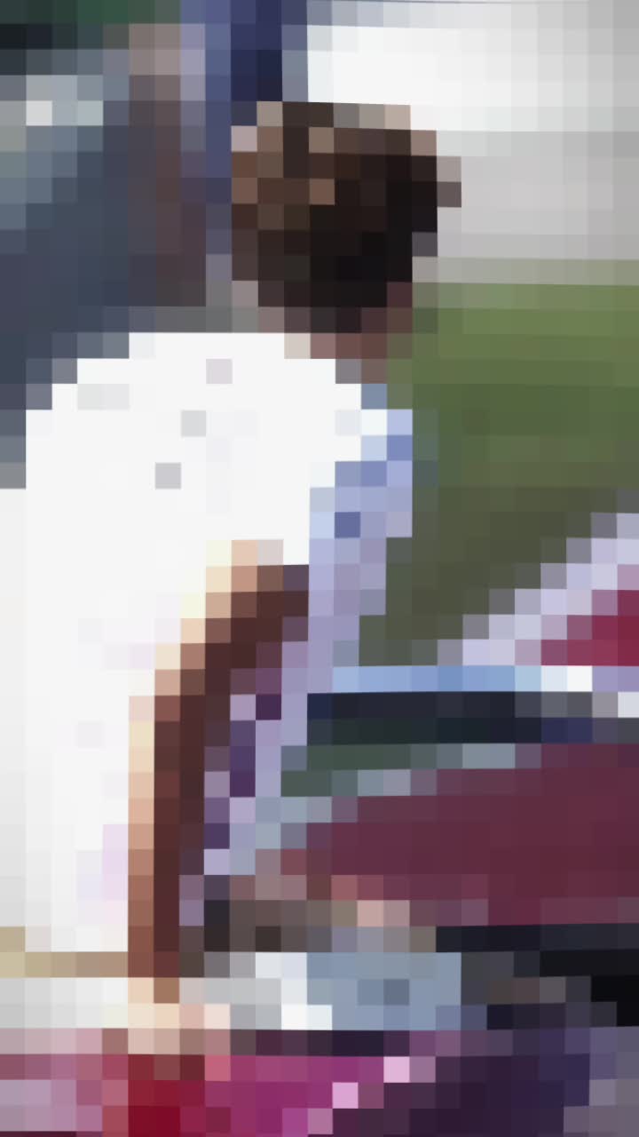@伊陶☭